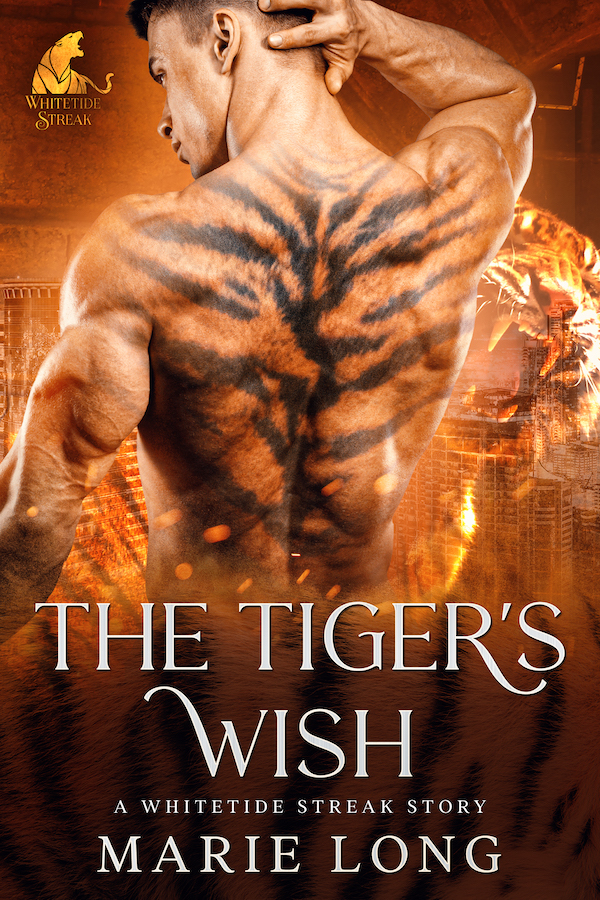 Book cover of The Tiger's Wish by Marie Long